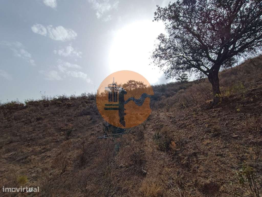 TERRENO RUSTICO COM 6000 M2 - JUNTO A ALDEIA DO TANOEIRO EM CASTRO ... - Grande imagem: 3/52