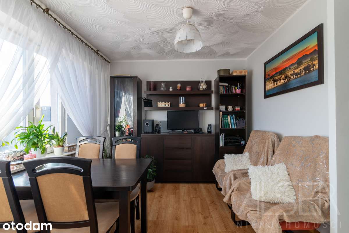 2 Pok. M | do wejścia | rozkładowe | słoneczne - Pełny obrazek: 5/15