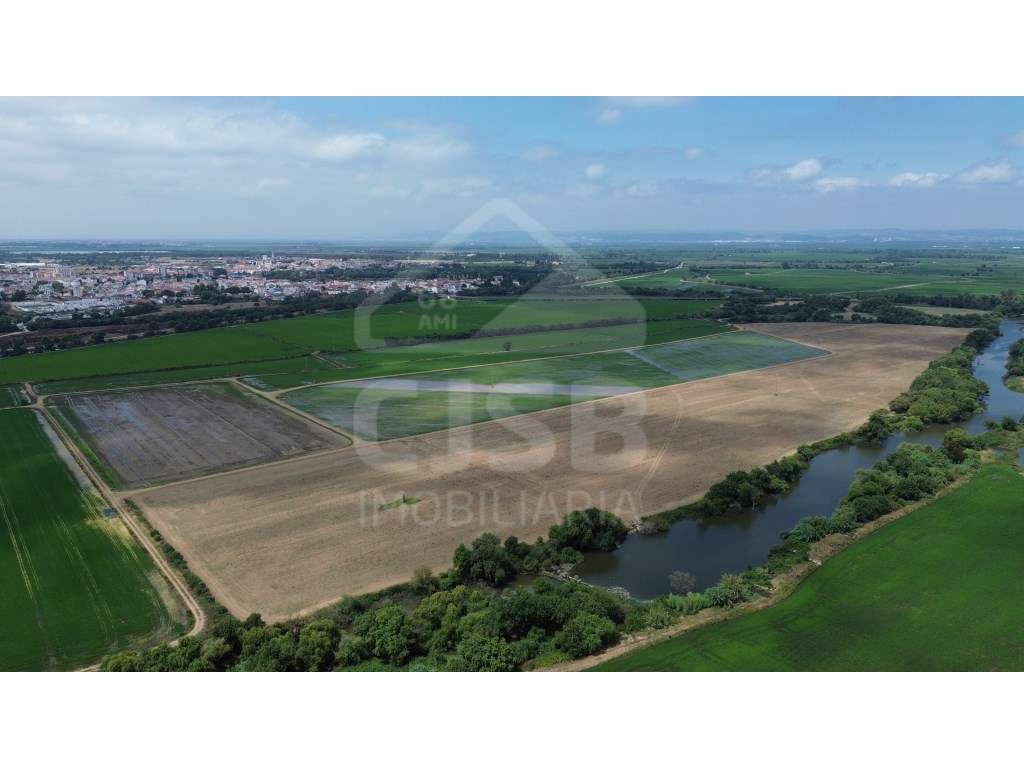 Terreno de 9,5 ha em Benavente-1