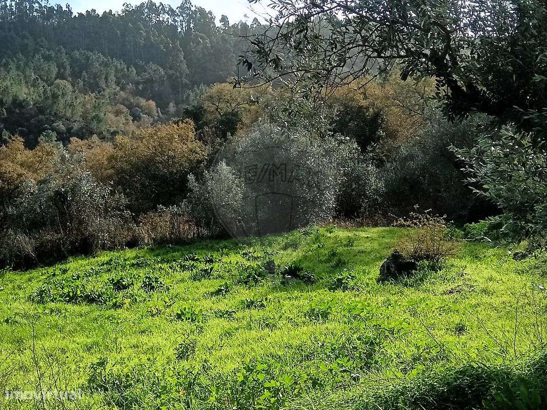 Terreno  para venda - Grande imagem: 5/7