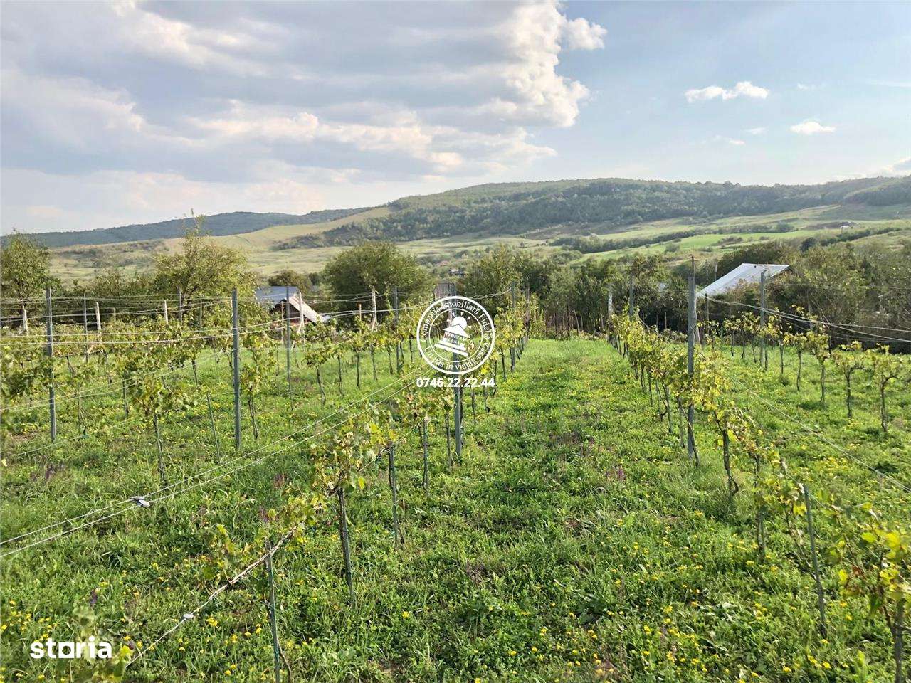 Teren intravilan in Mogosesti, Iasi - 6800mp - Imagine principală: 2/10