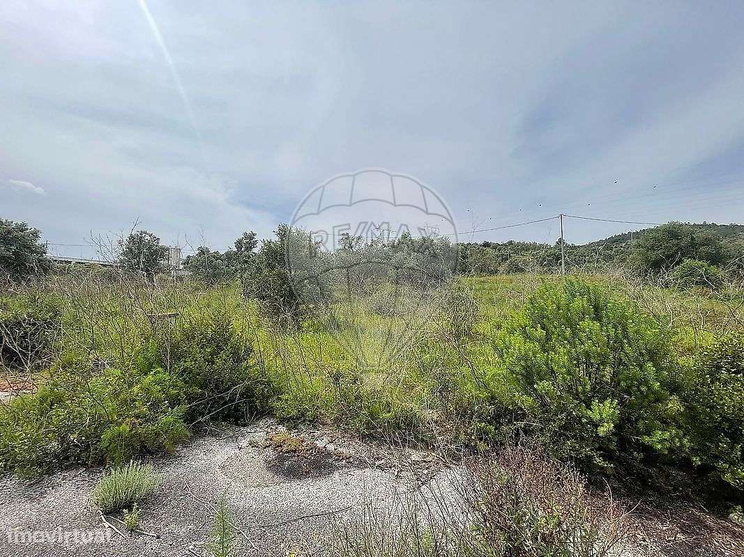 Terreno  para venda - Grande imagem: 4/4