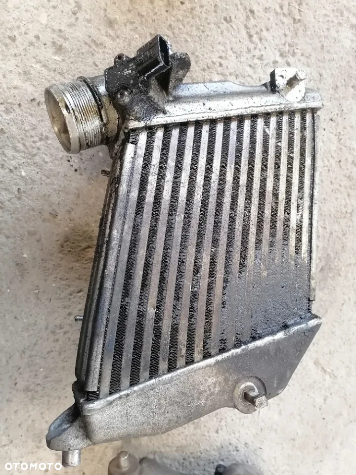 Intercooler Chłodnica Powietrza Lewa Audi A8 D3 3.0TDI - 9