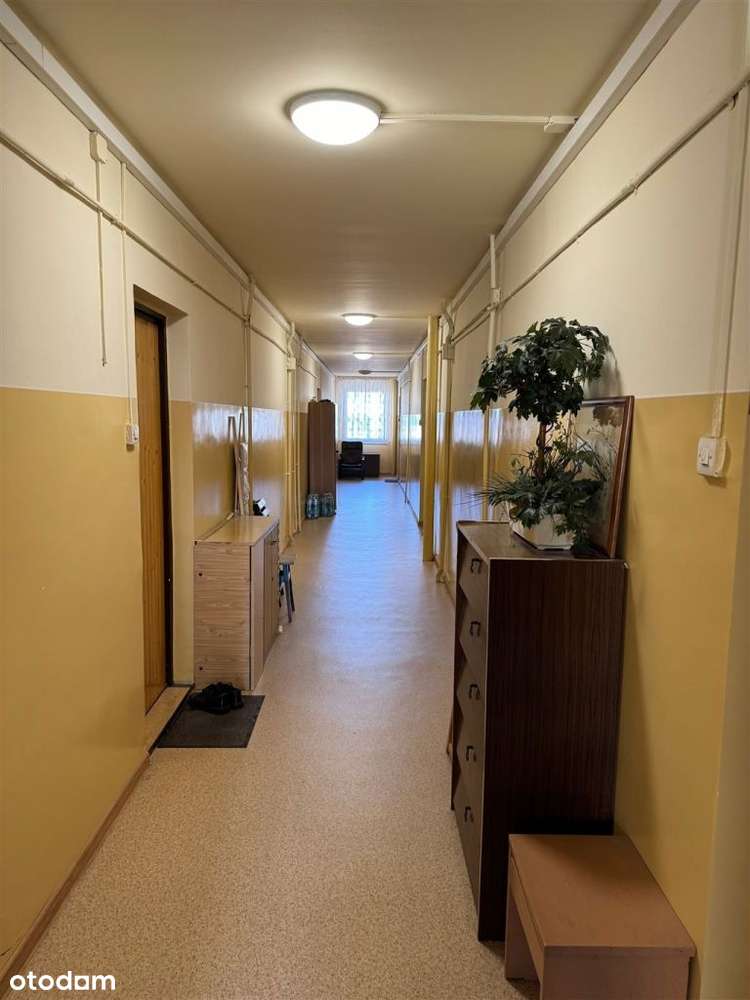 Centrum miasta, górski widok – idealne połączenie!-10