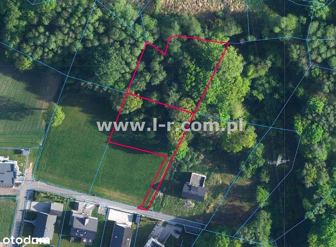 Działka W Zielonej Okolicy Z Własnym Lasem - Pełny obrazek: 4/8