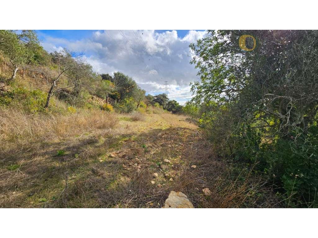 Terreno Rústico em Estoi com Poço-18