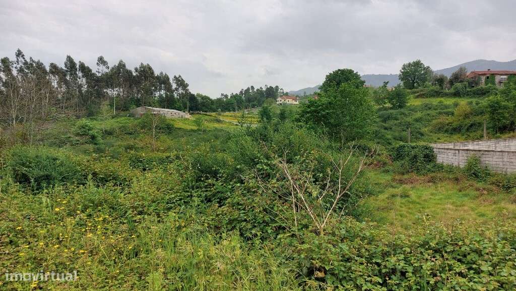 Lote - Guilhofrei-2