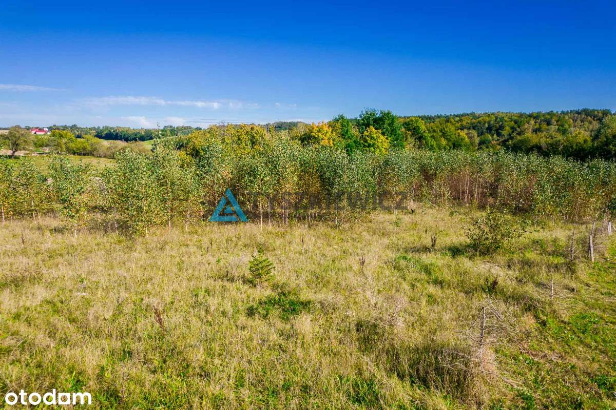 Wyjątkowa działka budowlana położona w Ostrzycach! - Pełny obrazek: 5/15