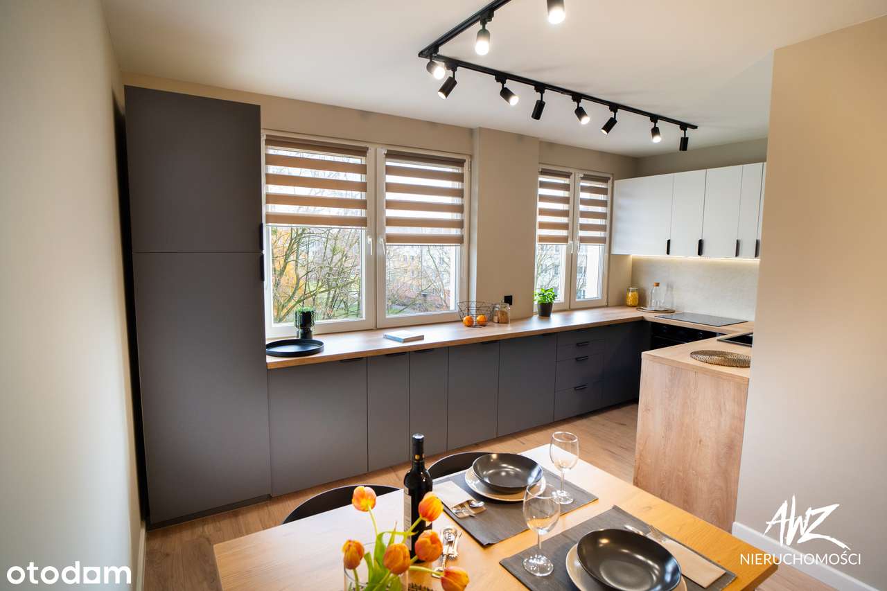 Sprzedam mieszkanie po remoncie generalnym / 58m2 / 3 piętro /Serbinów - Pełny obrazek: 2/19