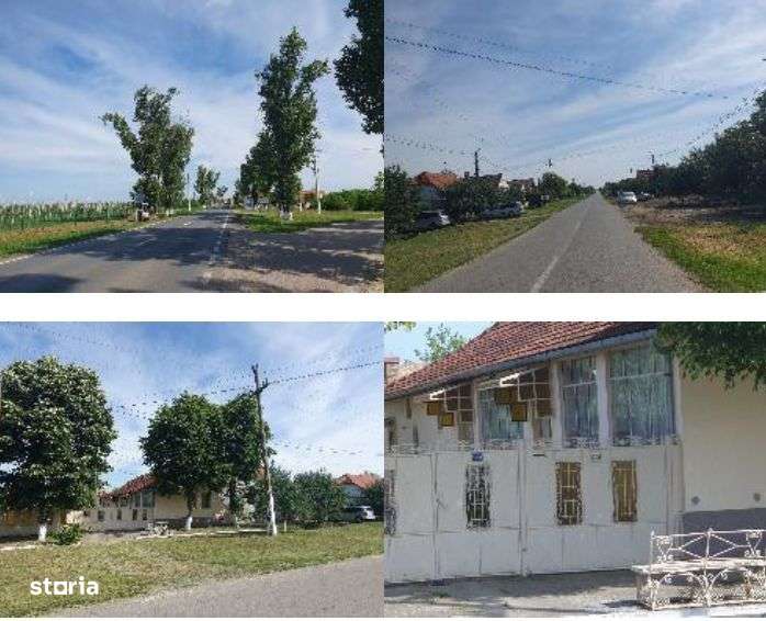 Casa si teren localitatea Cenad, comuna Cenad, jud. Timis-2