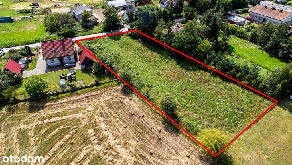 Duża działka przy Puszczy Zielonce - Pełny obrazek: 4/7