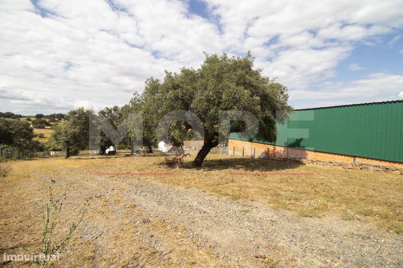 Herdade - Alvito-55