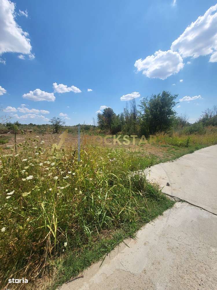 Teren 579 mp | Soseaua Cernica | Pantelimon - Imagine principală: 4/7