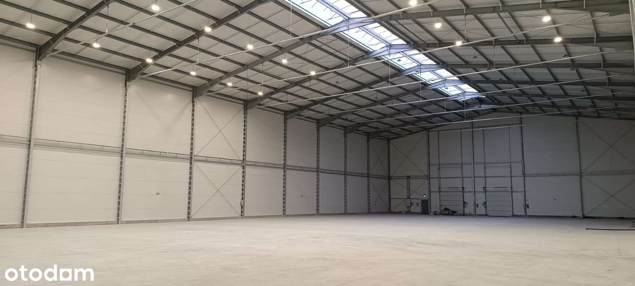 Hala/magazyn/logistyka/wysokie składowanie/1-2tys m2-12m  Brzezie DK94 - Pełny obrazek: 5/13