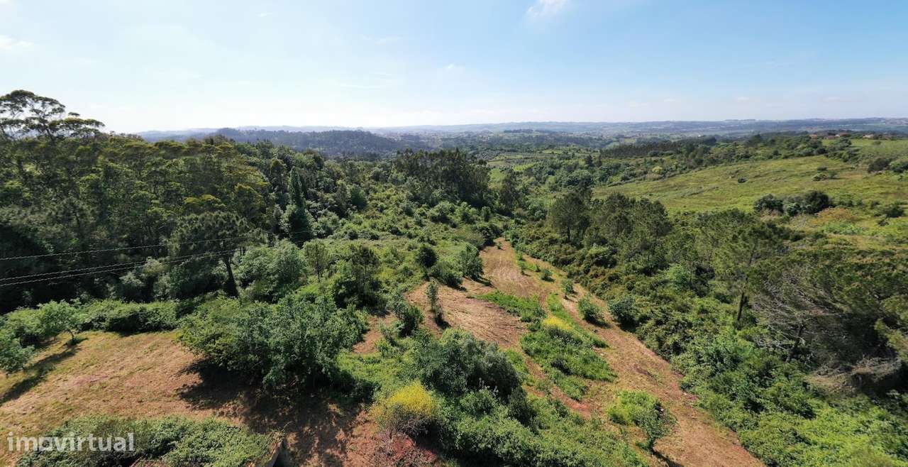 Terreno para construção - Évora de Alcobaça / Alcobaça - Grande imagem: 1/4