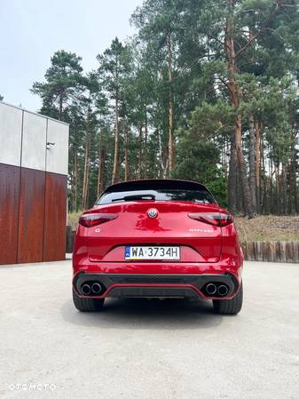 Alfa Romeo Stelvio 2.9 Bi Turbo V6 Quadrifoglio - 6