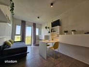 Kawalerka z najemcą Rataje