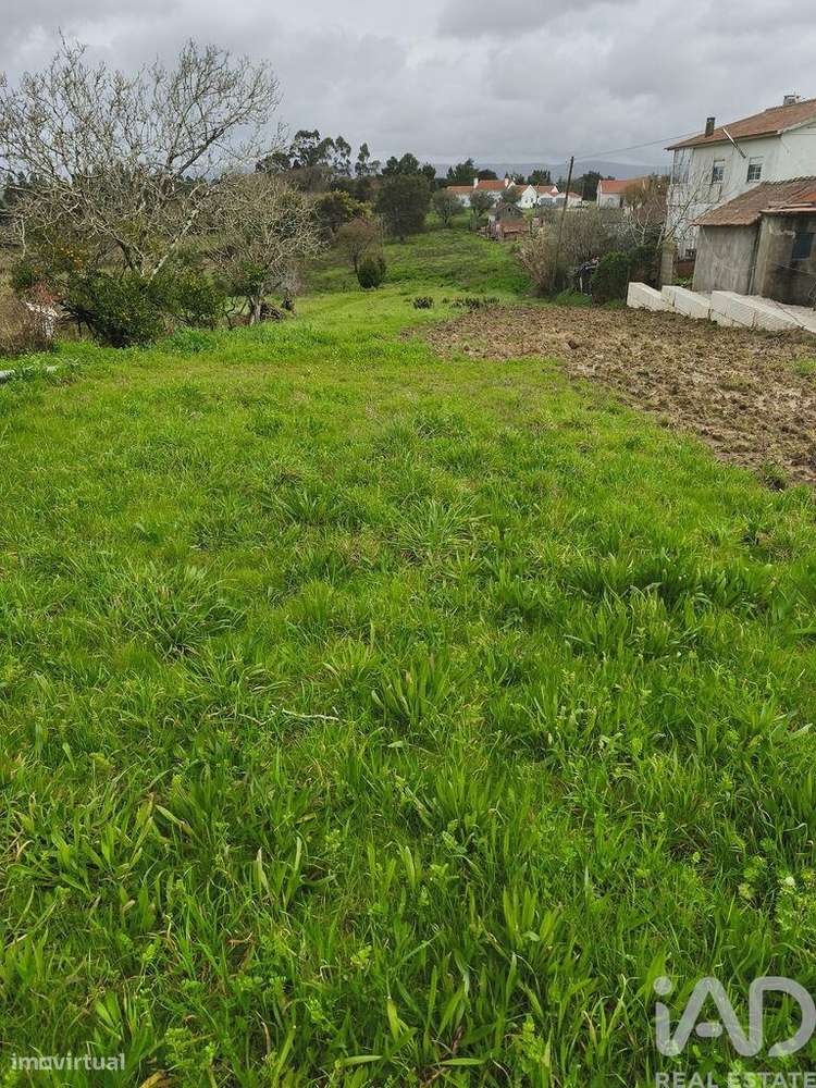 Terreno Agrícola em Cela - Grande imagem: 4/16