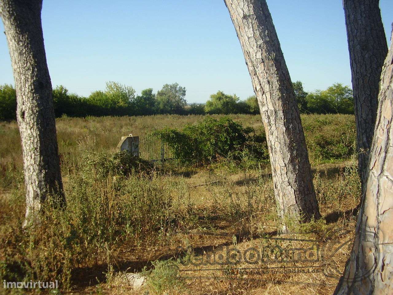 Terreno no Escaroupim (S287) - Grande imagem: 2/7