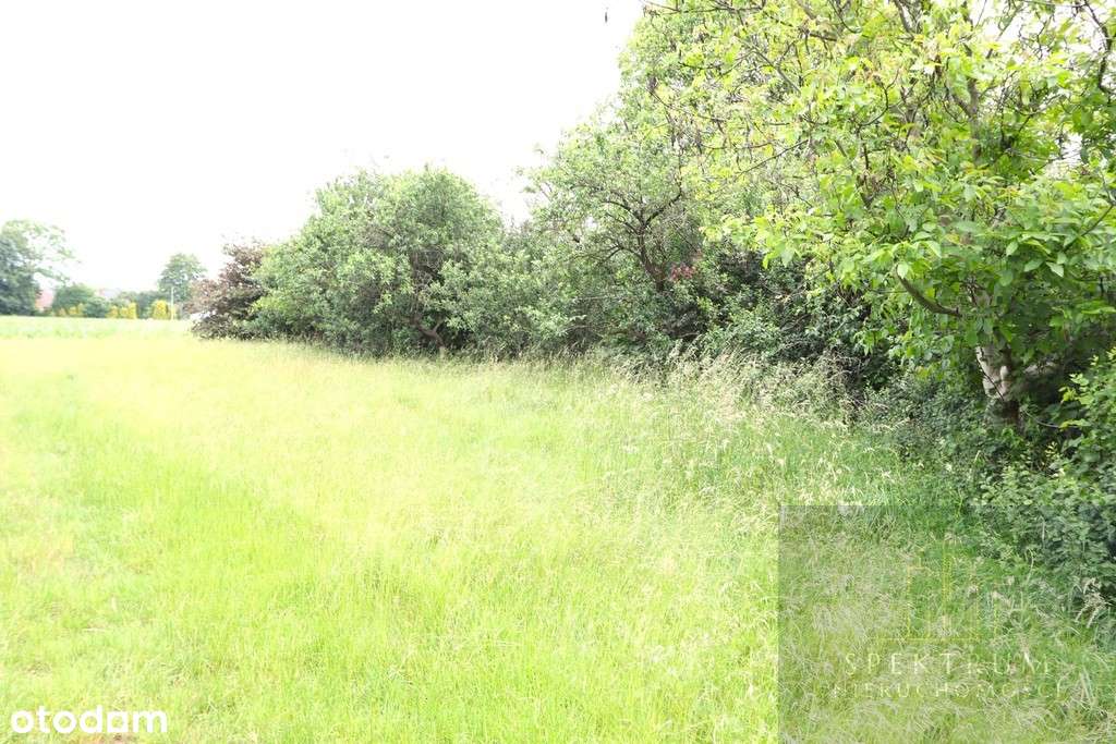 Dom z dużym potencjałem-3