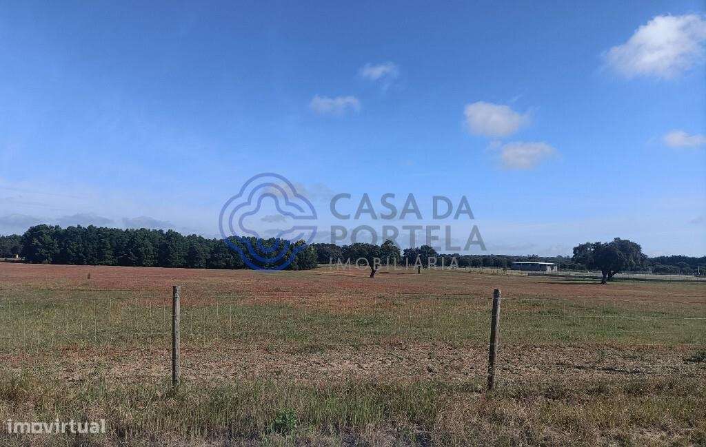 TERRENO RUSTICO COM 33 HECTARES EM PEGOES, CONSELHO DO MONTIJO - Grande imagem: 2/20
