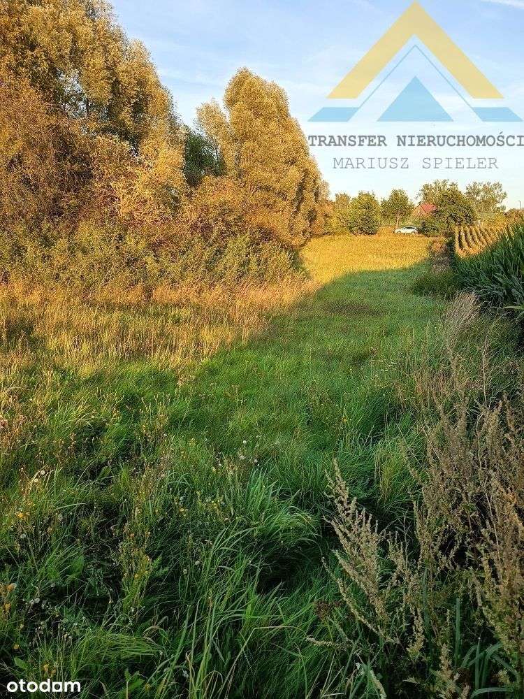 Działka rolna z potencjałem 2986 m2 , 79 tys.!-8