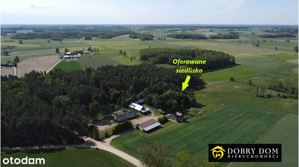 *Siedlisko na Podlasiu w otulinie lasu*-3