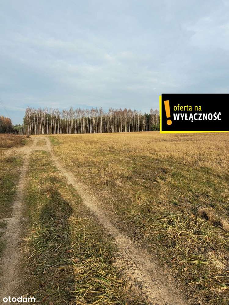 Działka blisko lasu.-16