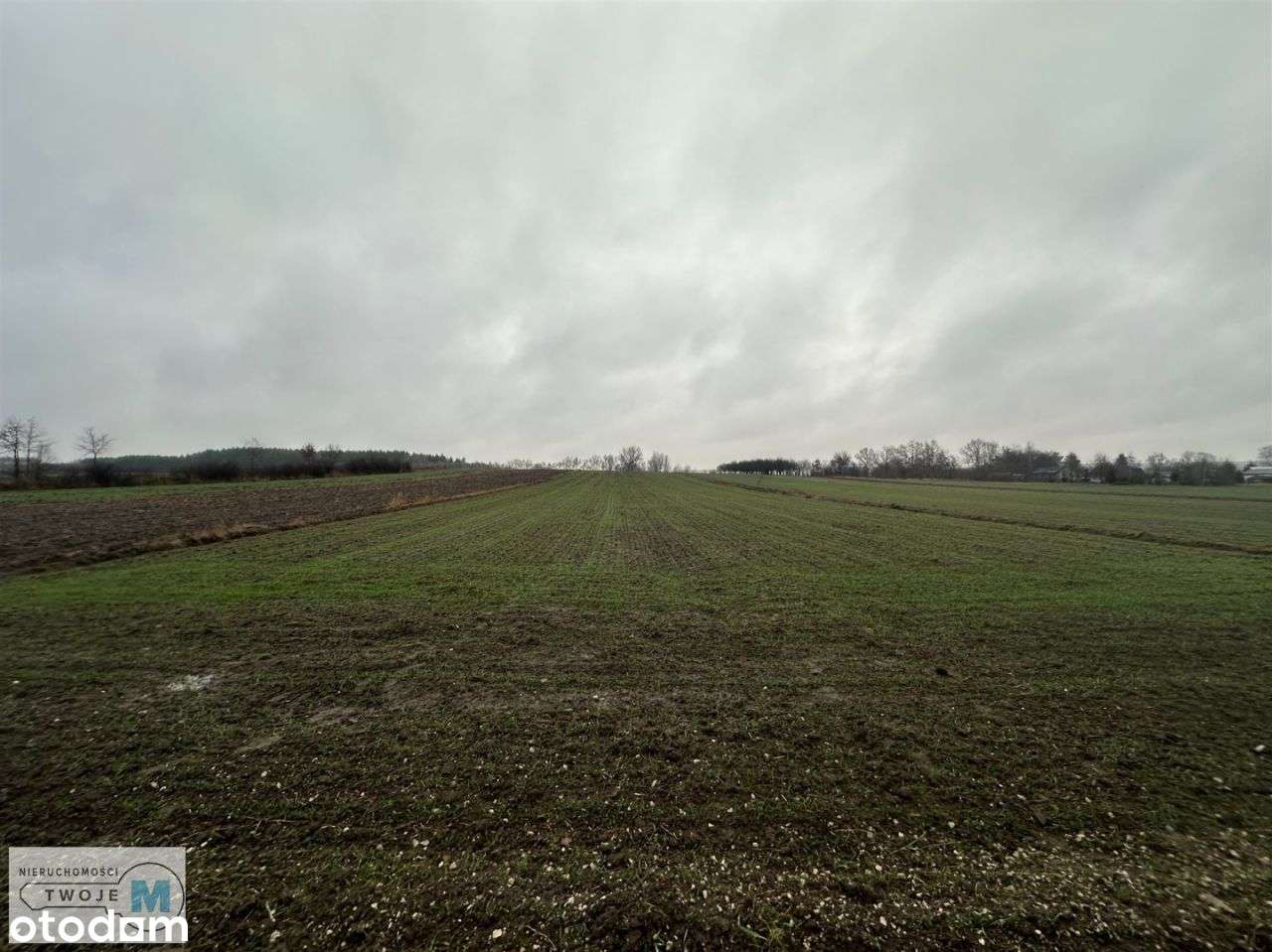 Działka rolna z możliwością zabudowy okolice Buska - Pełny obrazek: 5/6