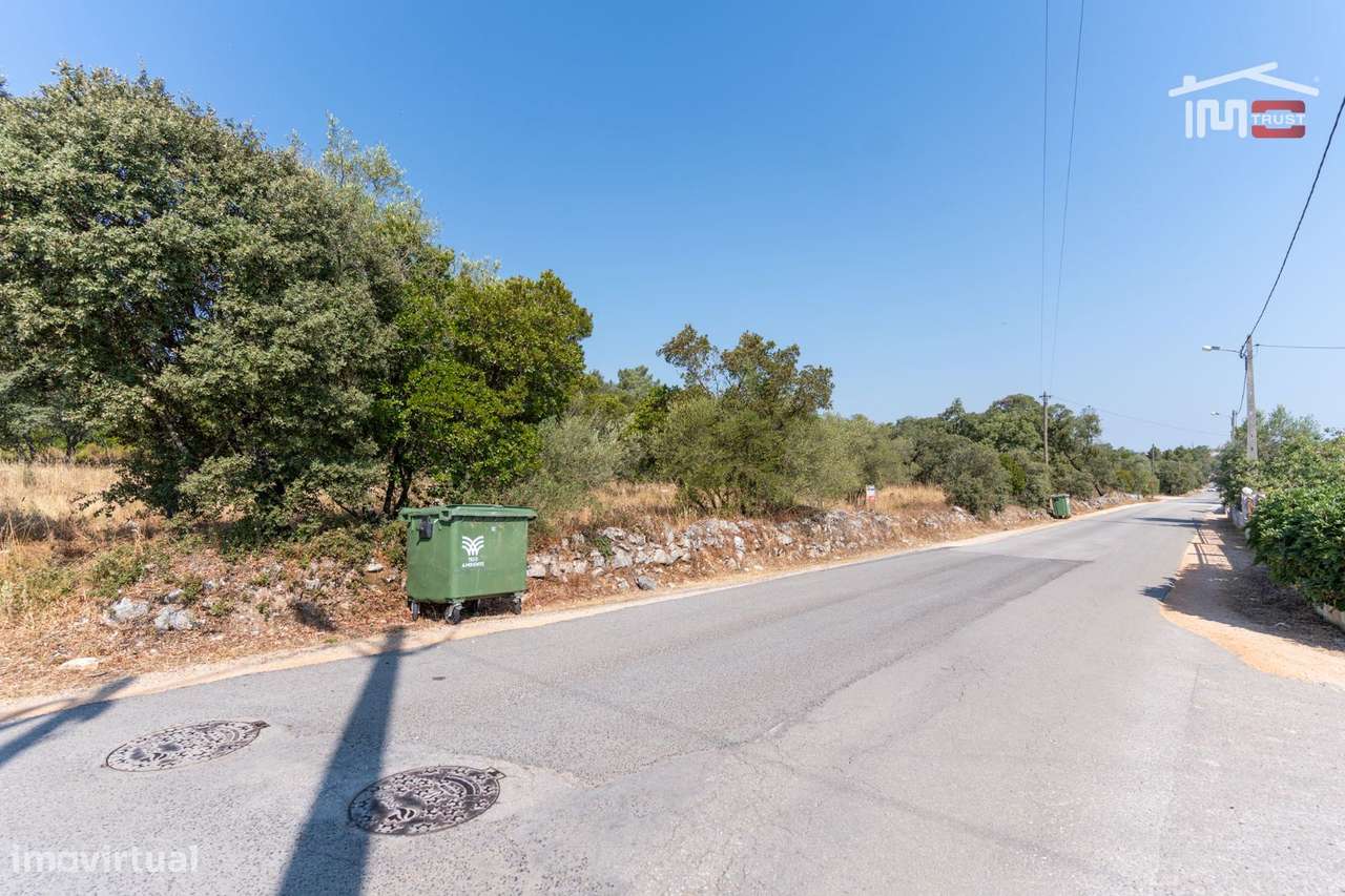 Terreno Rústico em Montelo, Fátima - Grande imagem: 4/9