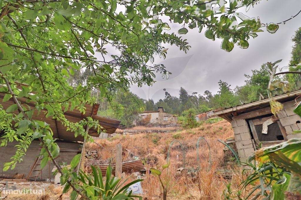 Duas Moradias em Escudeiros c/ aprox. 3.200m2 de terreno-35