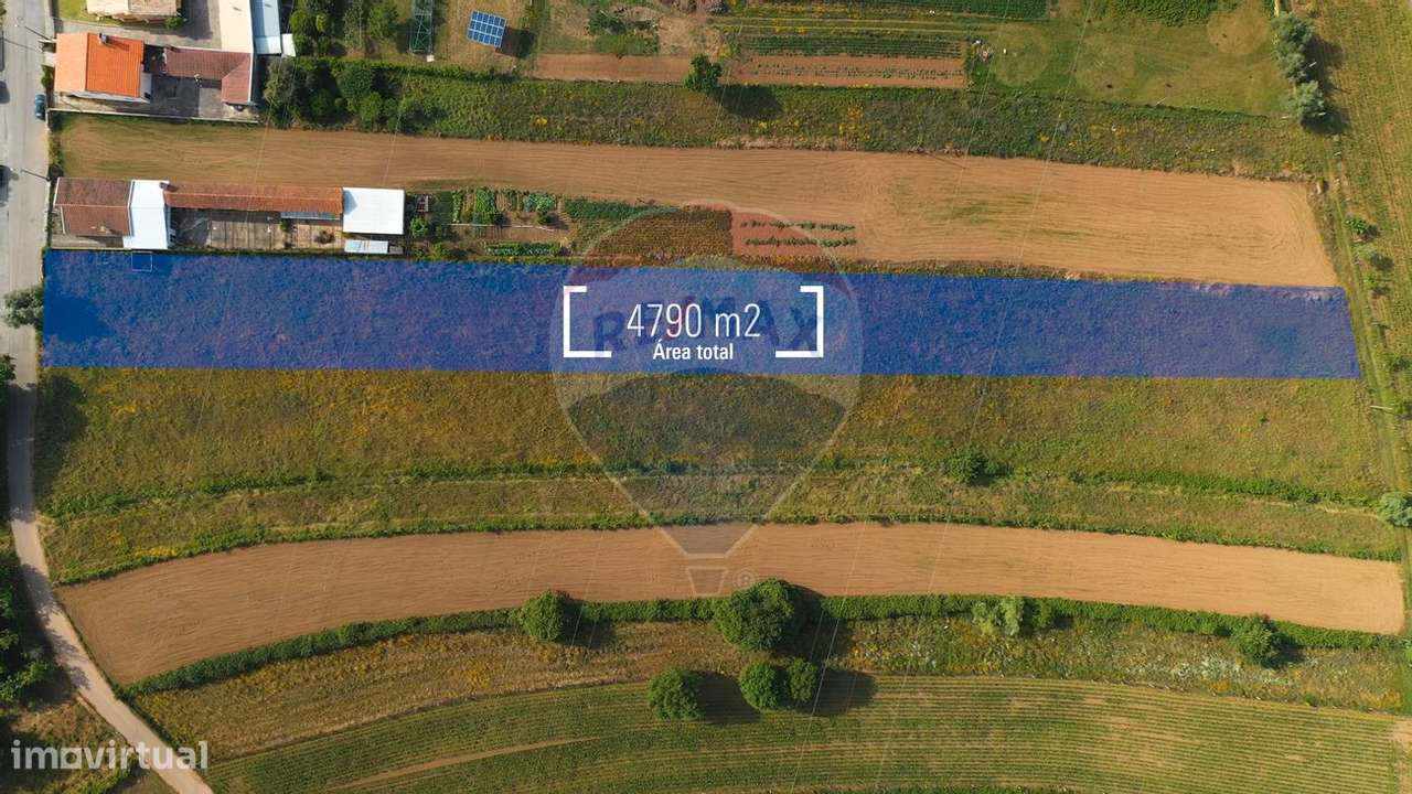 Terreno  para venda - Grande imagem: 4/4