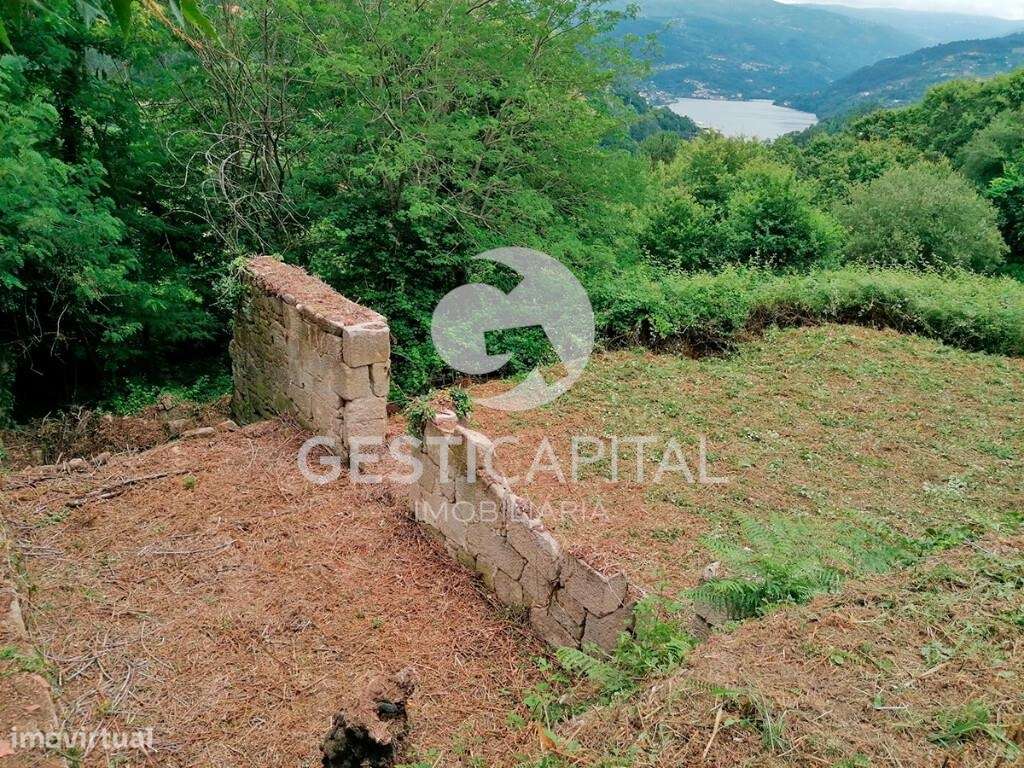 Quinta com vistas para o Douro - Grande imagem: 4/29