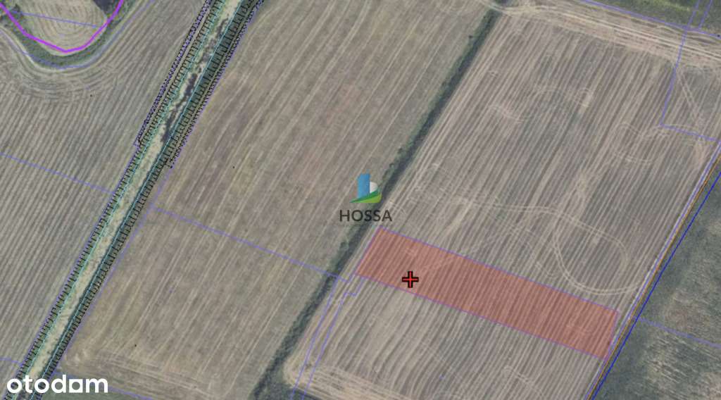 Dom z działką w Szemplinie Wielkim-10