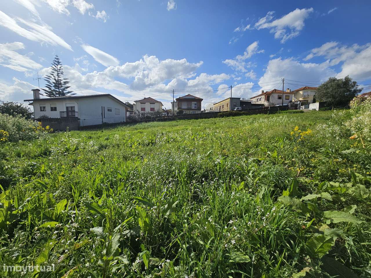 Terreno em Nogueira do Cravo OAZ - Grande imagem: 2/9