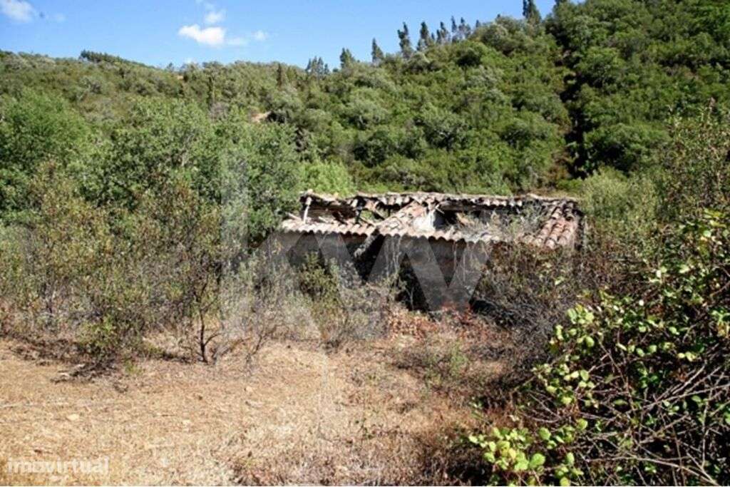 Prédio misto - Serrado - Grande imagem: 5/10