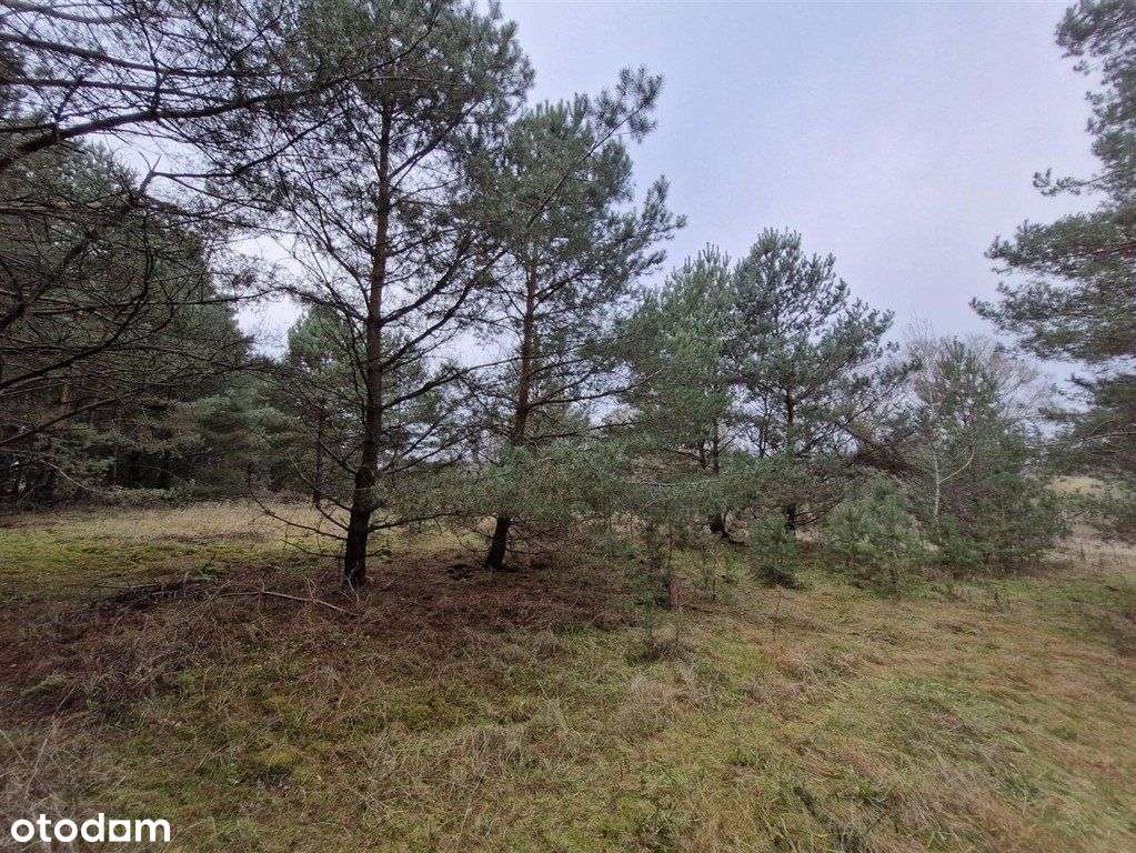 Letniskowa, Mpzp, woda i prąd, 400 M j. Chłop-1