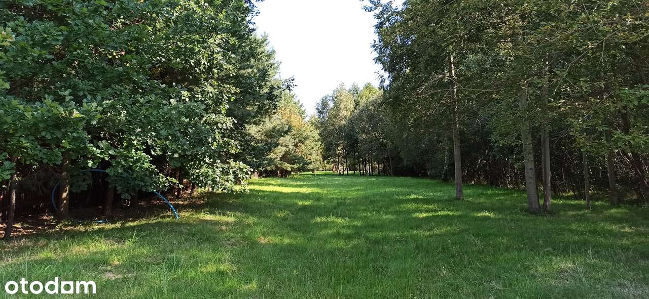 Świetna Lokalizacja 4485m2 (1616m2 2869m2) WZ Media Asfalt Faktura VAT - Pełny obrazek: 5/14