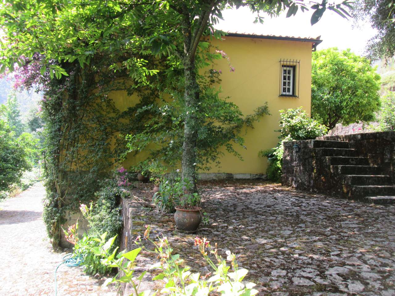 Quintinha no Minho Ponte de Lima * 10.000 m2 * a 90 Km do Porto-52