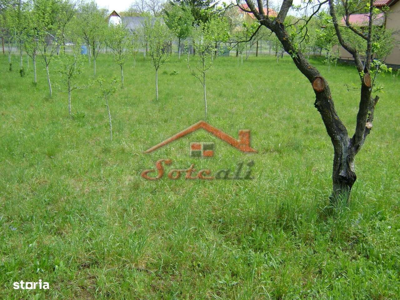 Teren de vanzare in Cornu 1183 mp-6