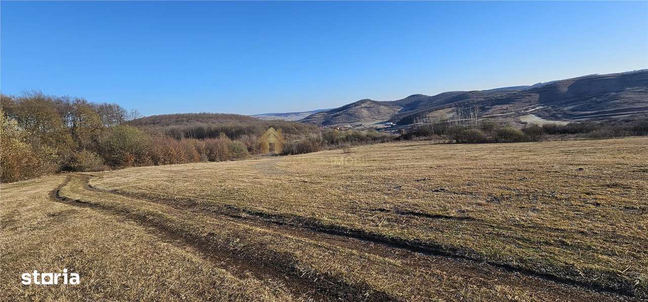 TEREN EXTRAVILAN 6119 MP TAUTI - Imagine principală: 4/4