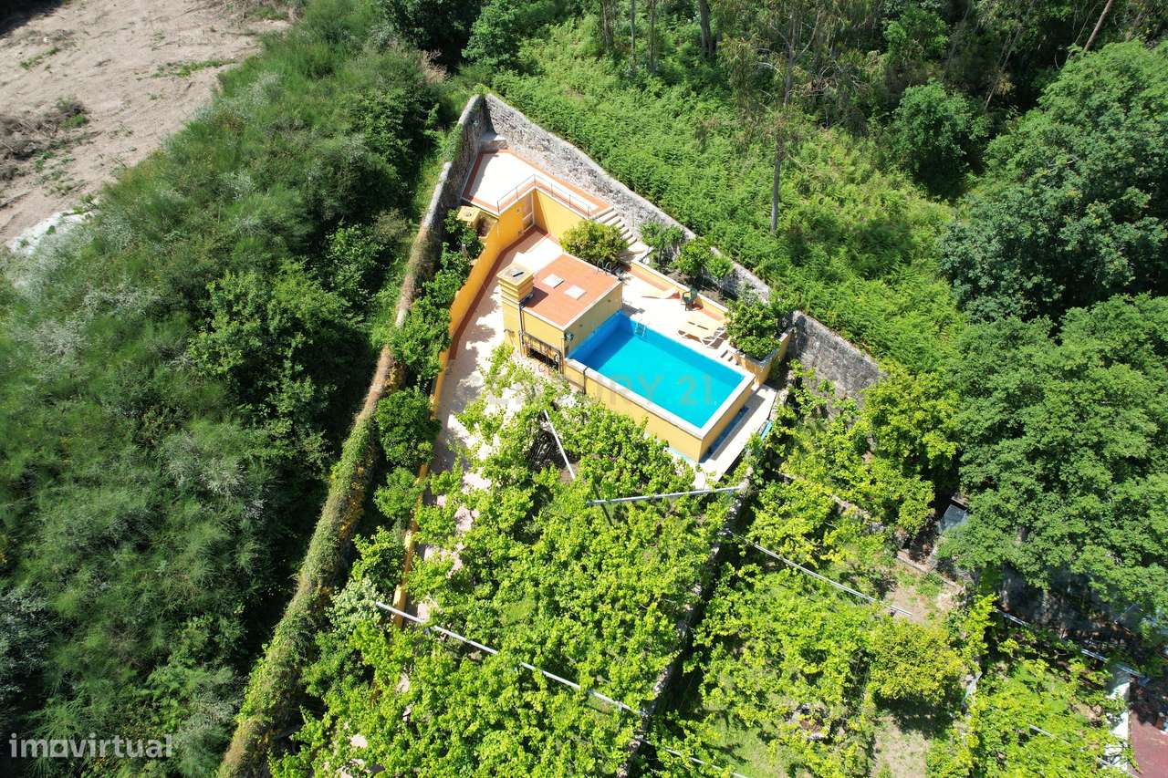 Quinta Palaciana T6 com 1070M2, terreno com 4957m2, Vinha, Piscina e G - Grande imagem: 4/60