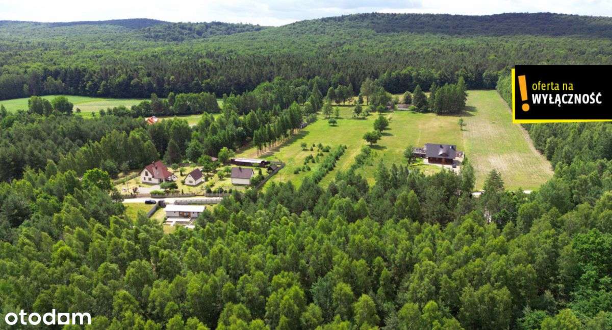 Działka budowlano-leśna – Makoszyn, 4700 m² - Pełny obrazek: 5/5