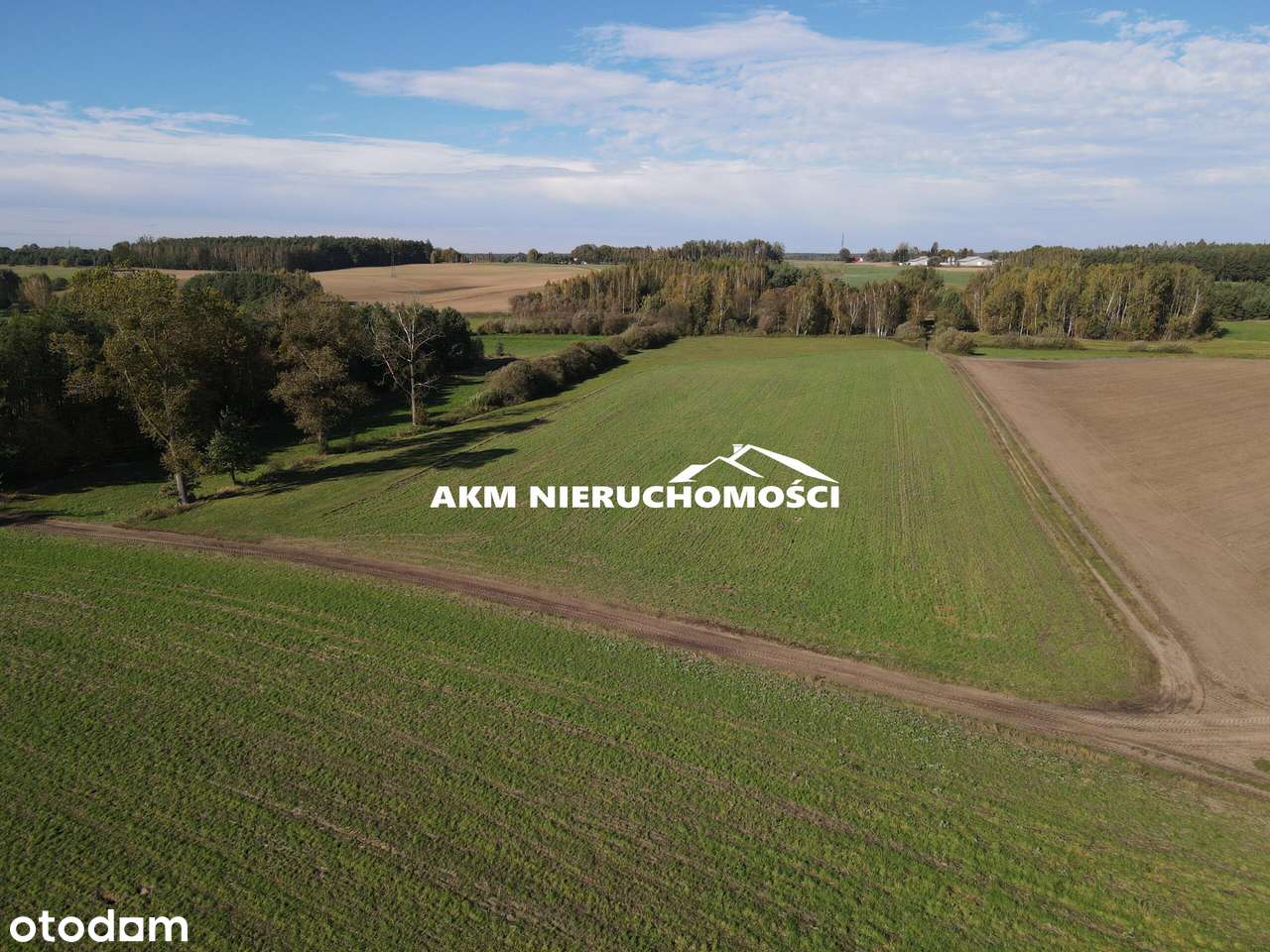 Działka pod zabudowę niedaleko Iławy - Pełny obrazek: 4/10