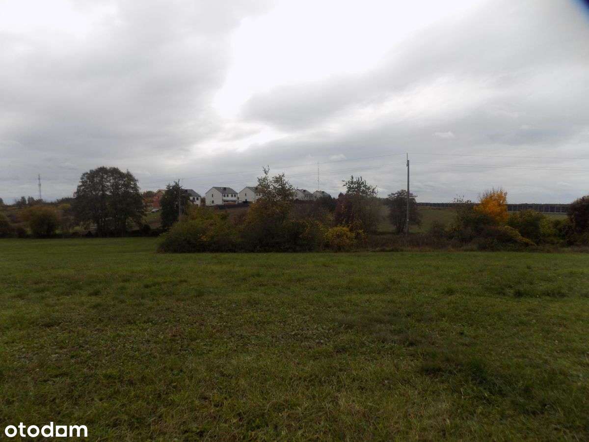 Działka, 703 m², Dziećmierowo - Pełny obrazek: 4/5