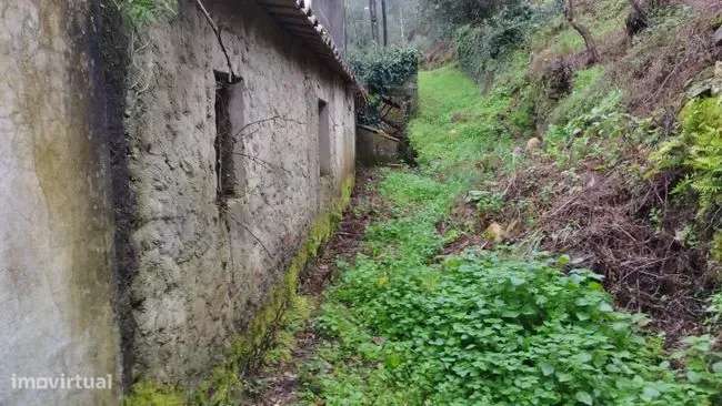 Moradia para reconstrução em Maçãs de D. Maria - Grande imagem: 3/20