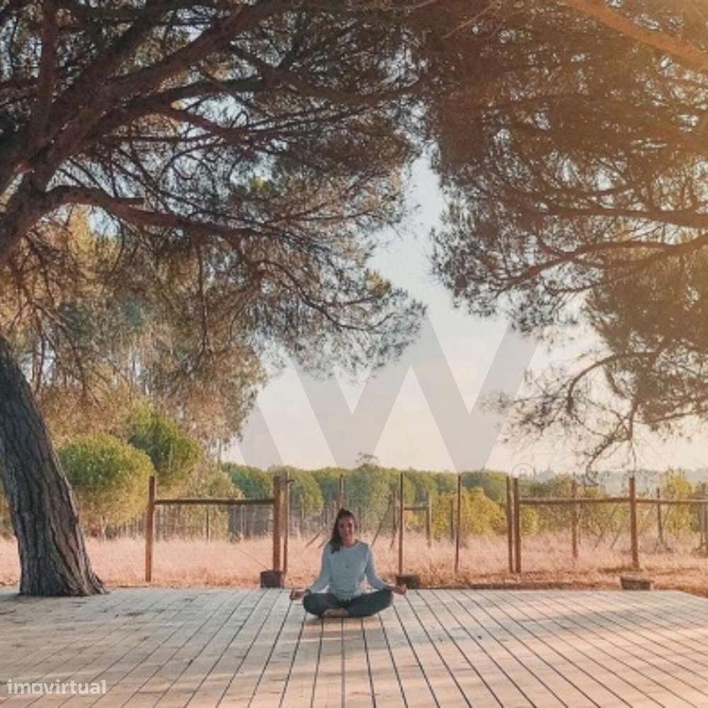 Herdade da Lameira - Country Hotel, Alter Chão, Alentejo, Portalegre,-42