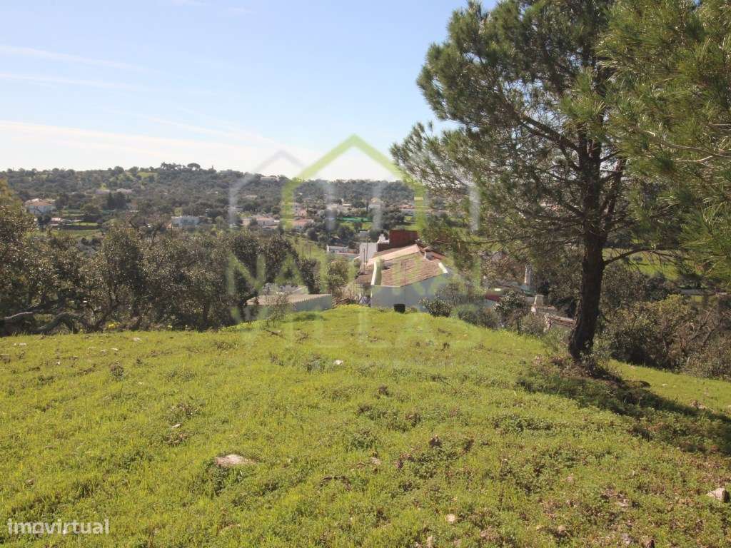 Terreno Rústico com Armazém em São Brás de Alportel - Grande imagem: 2/5