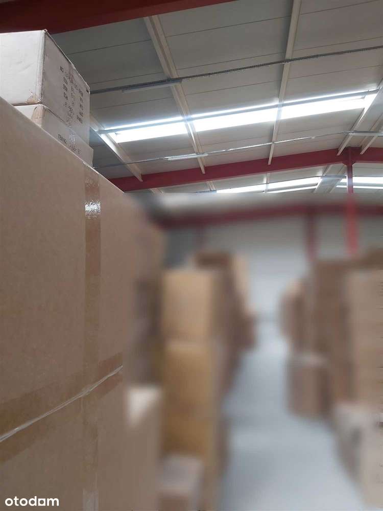 Magazyn, brama poziom "0", świetna lokalizacja - Pełny obrazek: 1/1
