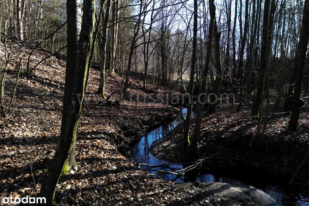 Pomorskie Yellowstone - Pełny obrazek: 5/6